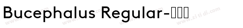 Bucephalus Regular字体转换